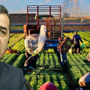 CHP’den Tarım Kredi ve hükümete sert tepki: ‘Halkı pahalı gıdaya mahkum etmek…’