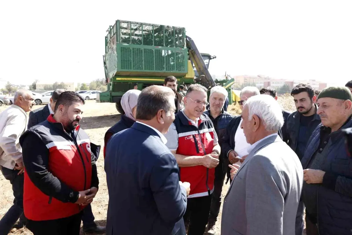 bismilde pamuk hasat sezonu basladi SQCTGrR9.jpg