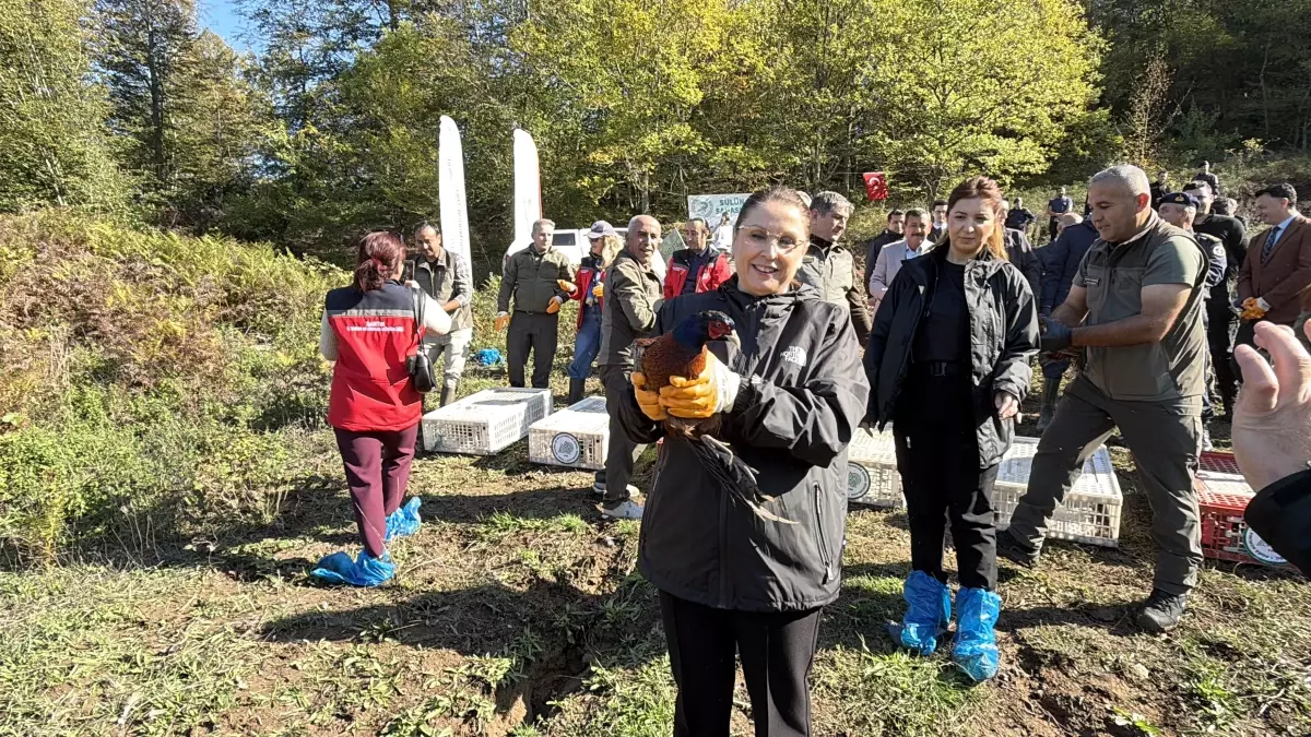 kahverengi kokarca ile mucadelede sulun salimi jIy2TQ1t.jpg