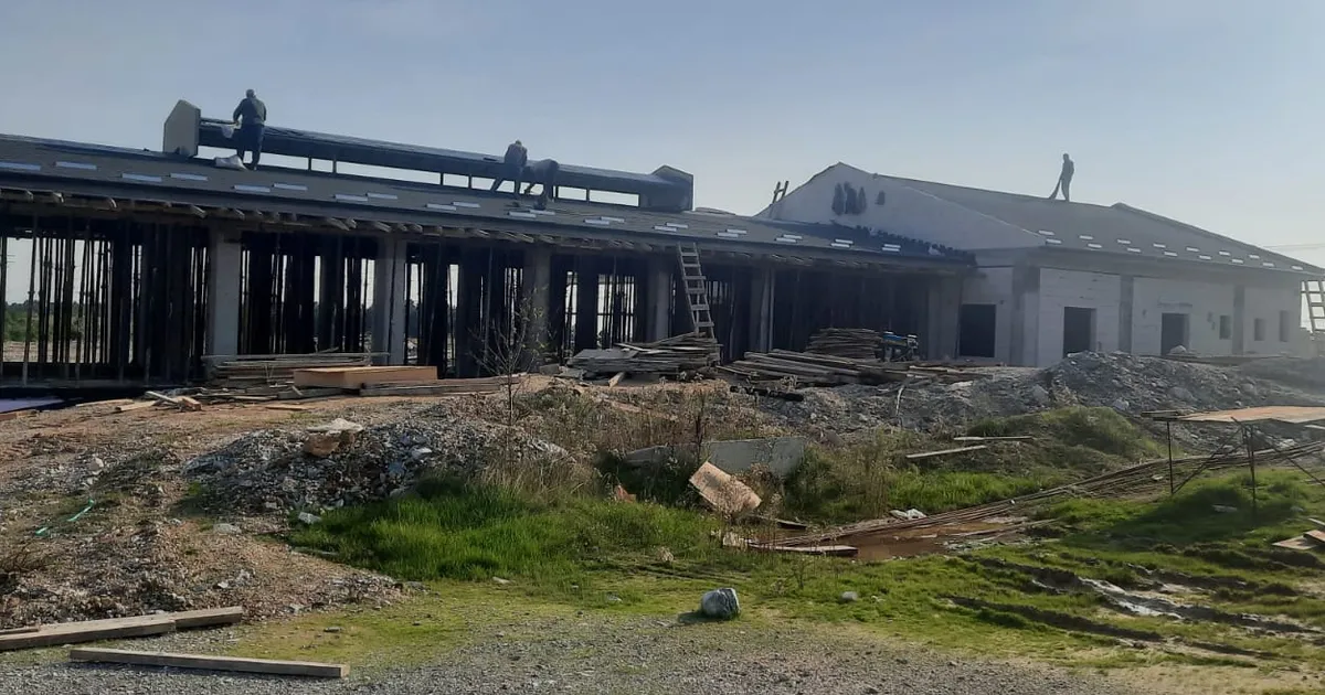 izmitten sokak hayvanlarina modern yasam alani ncrV6zZT.webp