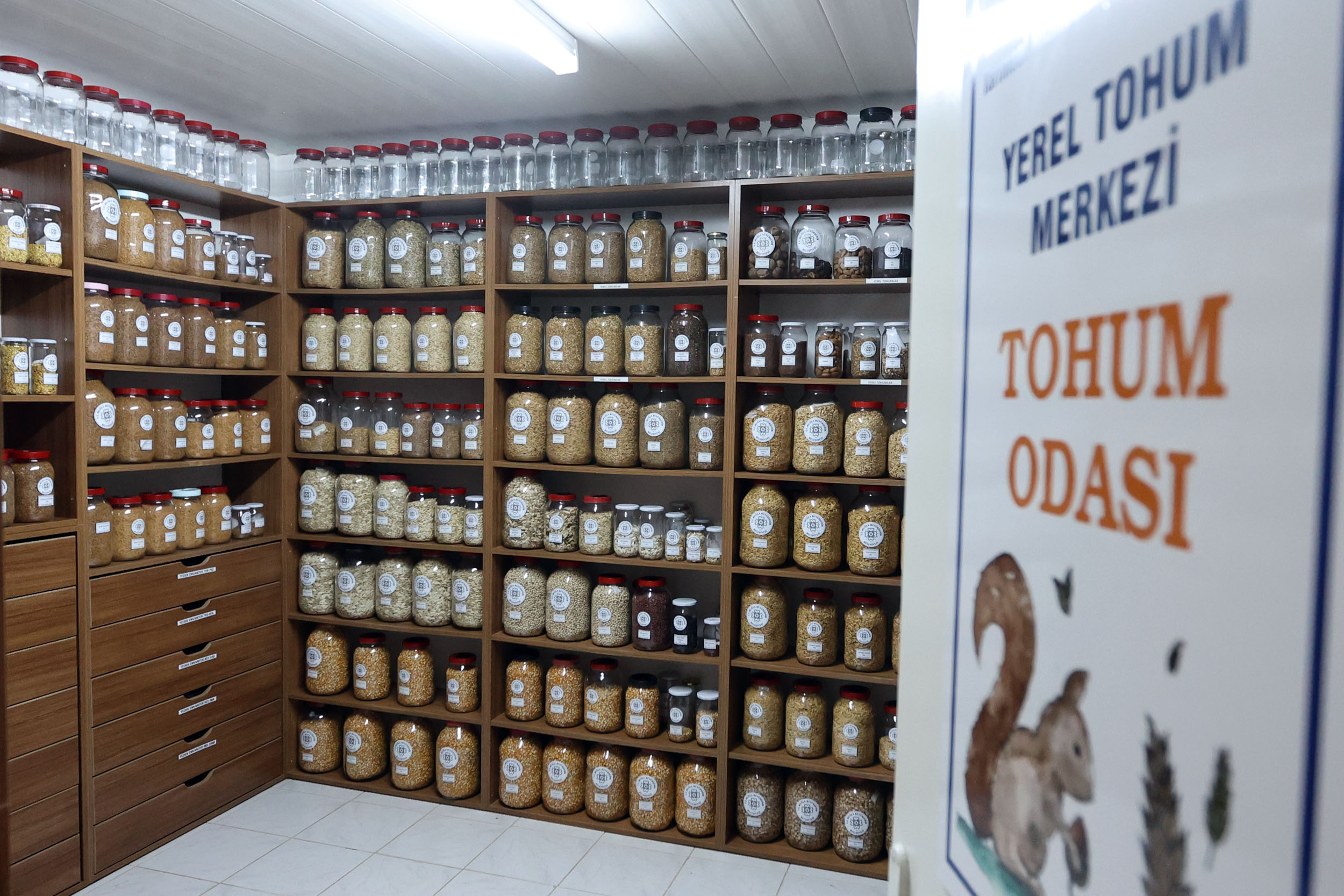 Yerel Tohum Destek Projesi