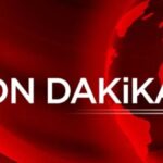 Beykoz’da Orman Yangını: Ekipler Hızla Müdahale Etti