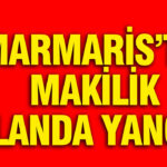 Marmaris’te Yangın: Makilik Alanda Alevler Yükseliyor
