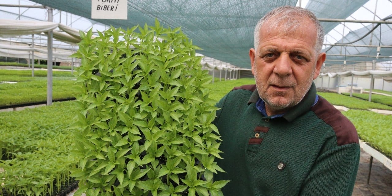 sigara-fabrikasindan-emekli-olunca-yeni-bir-hobi-buldular-yilda-15-milyon-fideyi-75-qxtBRSE5