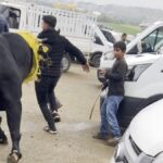 Kurbanlık Boğa Pazar Yerinde Kaos Yarattı
